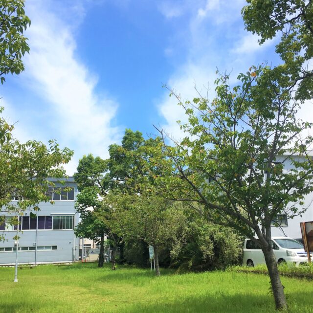 錦江公園